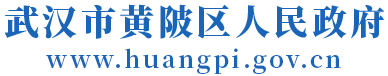动感单车训练计划：新手八周进阶安排